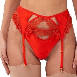 Elegant Red Lace Panty with Garter Straps